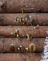 hanging brass mistletoe with white berries